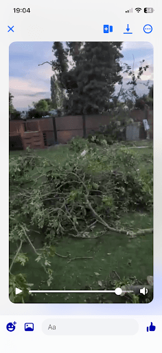 The Yorkshire Tree Fellas — Customer photo