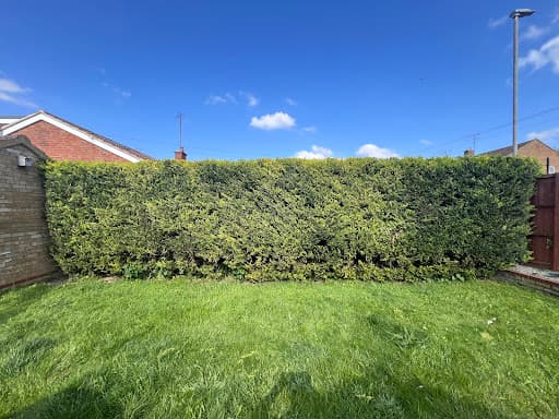The Gardening Guys Ltd — Customer photo