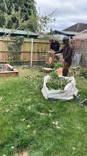 Titan Tree Services Ltd — Customer photo