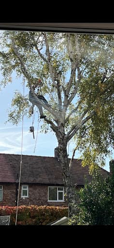 Able Tree Services | Liverpool — Customer photo