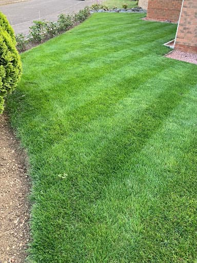 Elite Lawn Maintenance Ltd — Customer photo