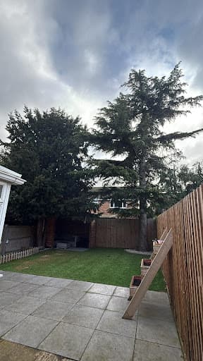 Clayton Brothers Tree Surgery — Customer photo