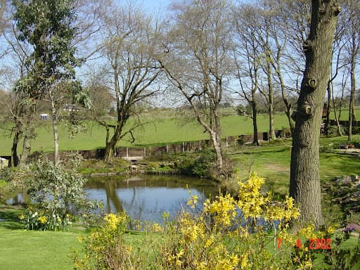 Harrison Barnes garden maintenance — Customer photo
