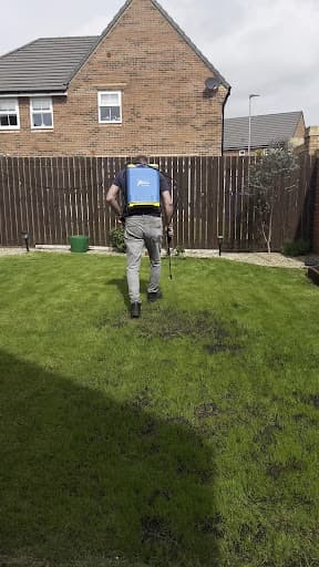 Aspen Garden (Gardening) services Hull — Customer photo