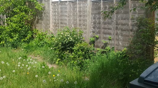 Lawn Ranger Gardening — Customer photo