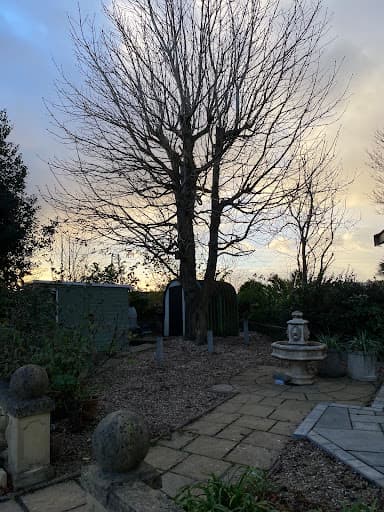 The Tree Surgery Company Ltd — Customer photo