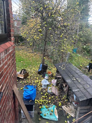 CleanCuts Lawn Kings • Gardeners Manchester — Customer photo