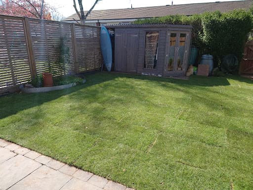 Lawn & Weed Expert - Lawn Care Services — Customer photo