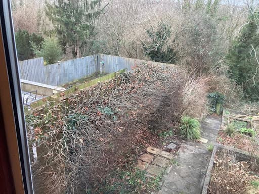 Bristol Garden Maintenance — Customer photo