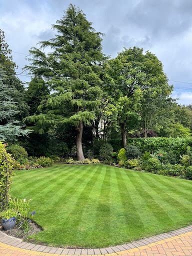 Barbizon Trees — Customer photo
