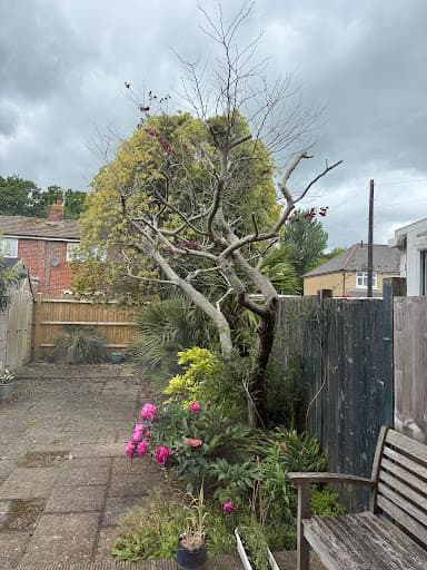 Louis Whittaker Tree Services — Customer photo