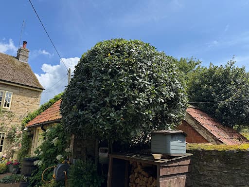 Crossbrook Tree Care Ltd — Customer photo