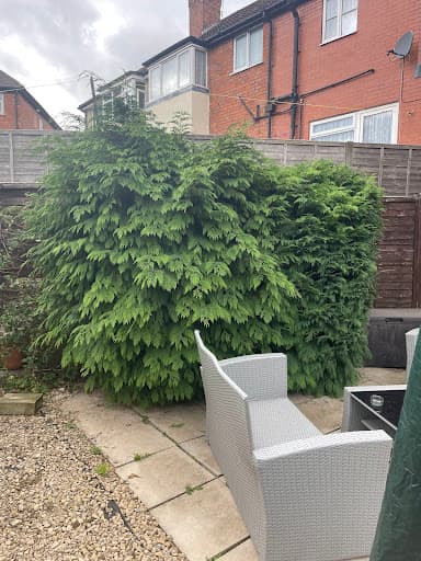 J and Son Trees and Landscapes — Customer photo