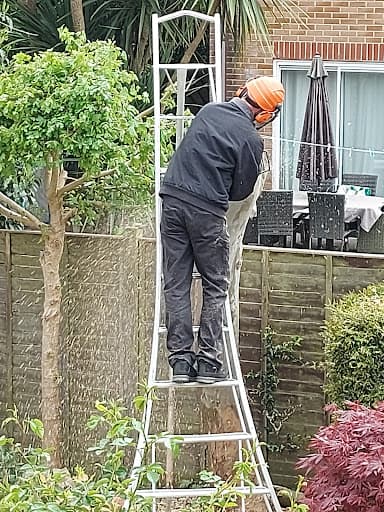 DM Gardening — Customer photo