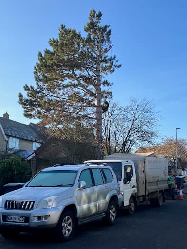 James Rowlett Tree Care - Tree Surgeon — Customer photo