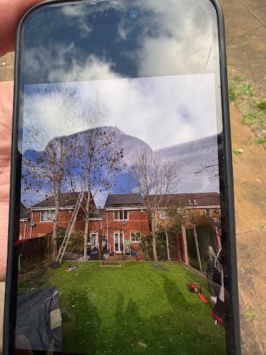 GPB Trees & Landscapes — Customer photo