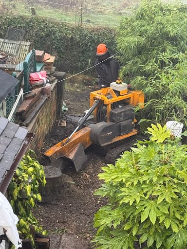 STOKE TREE SURGEON — Customer photo