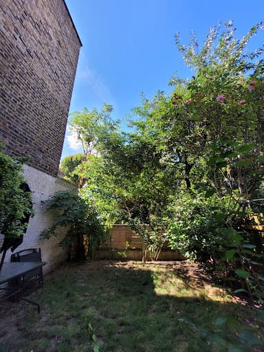 Tree Surgeons In South London — Customer photo