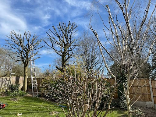 AJH Tree Services LTD — Customer photo