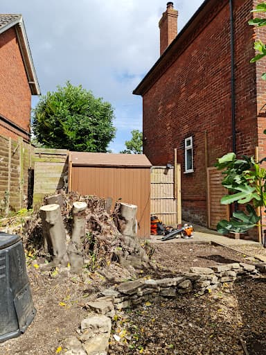 Fosters Tree Surgeons Ltd — Customer photo