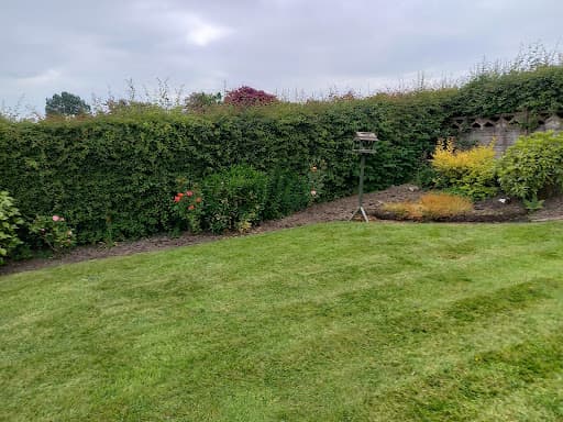 Harrison Barnes garden maintenance — Customer photo