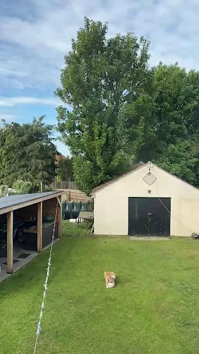 Crown Tree Services — Customer photo
