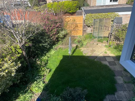 Lucy In The Garden — Customer photo