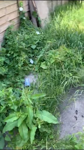 Prime Cleaning and Gardening Services LTD — Customer photo