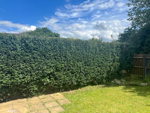 EJ Tree Surgery — Customer photo