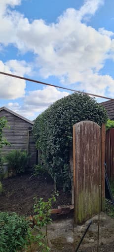 Lawn Ranger Gardening — Customer photo