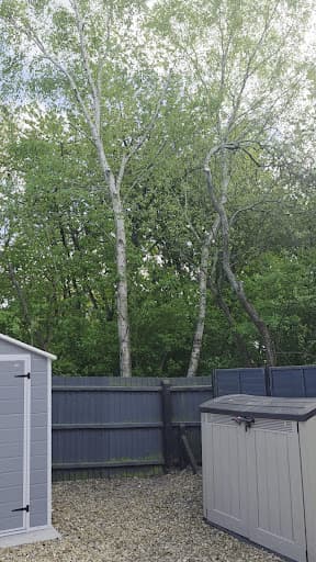 Specialised Tree Services — Customer photo