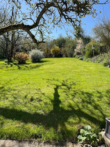 TopGrass (UK) Ltd - Lawn Care - Southeast — Customer photo