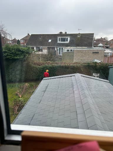 Lewis Tree Surgery — Customer photo