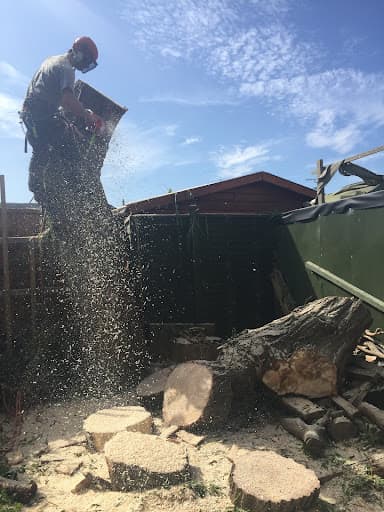 Nene Valley Tree Services — Customer photo