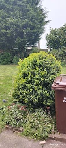 SM Garden Maintenance — Customer photo