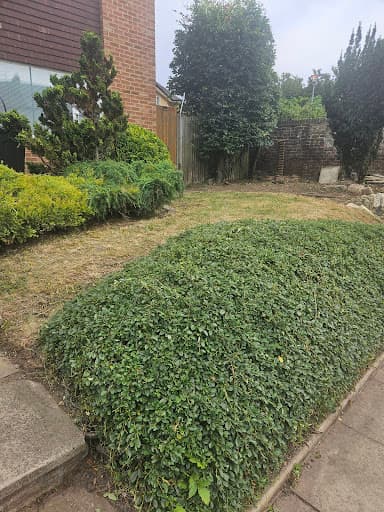 The Gardener — Customer photo