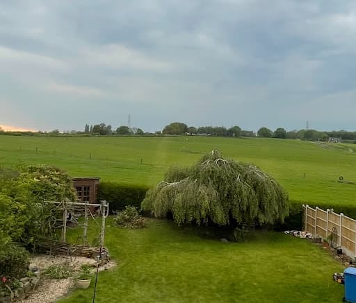 Rogers & Co Tree Services Ltd — Customer photo