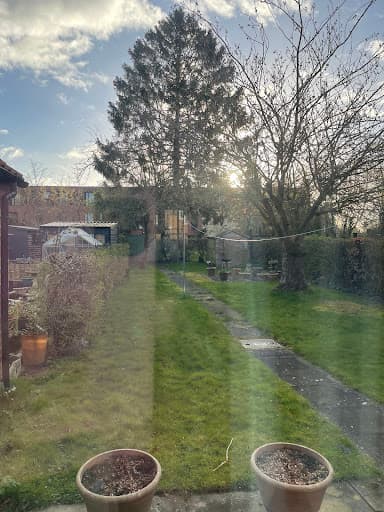 Trident Tree Works - York Tree Surgeons — Customer photo