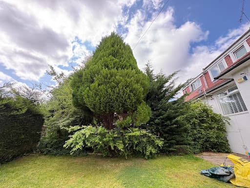 GlasGrow Tree Surgeons — Customer photo