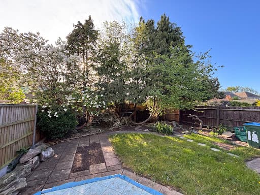 Freemans Tree Care Specialist — Customer photo