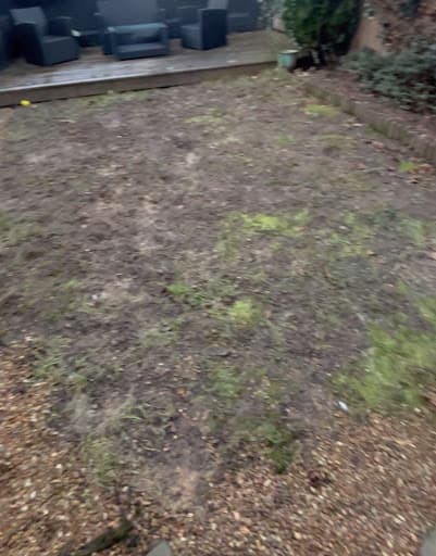 West London Gardeners — Customer photo