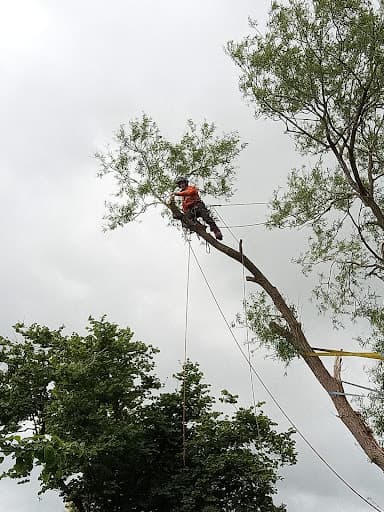 ARB UK — Customer photo