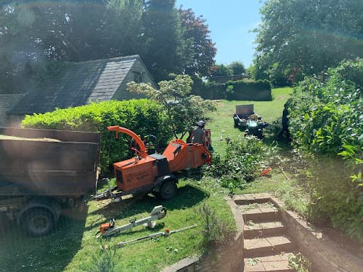 Branching Out Oxford — Customer photo