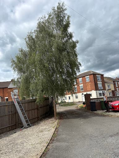 Thompson Tree Northants — Customer photo