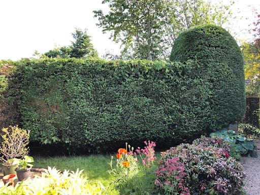 MJ Findlay Tree Surgery — Customer photo