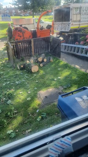 Deluxe Tree Surgeons Ltd — Customer photo