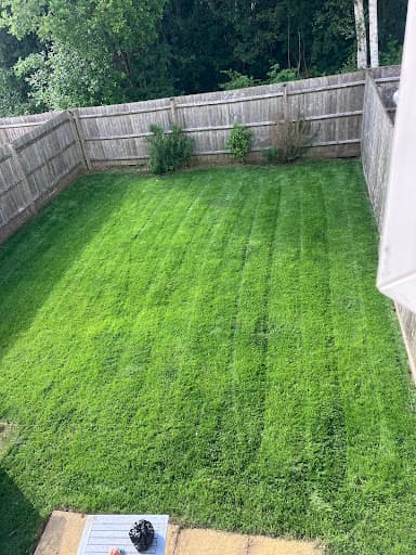 Pauls garden maintenance — Customer photo