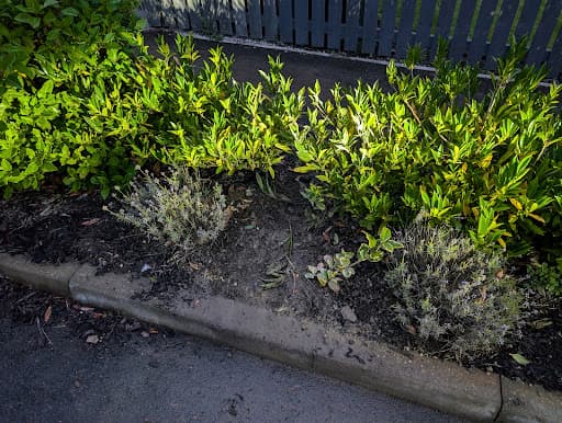 Hunter Landscapes — Customer photo