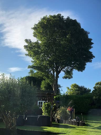 G M Frazer Tree Surgery Ltd — Customer photo