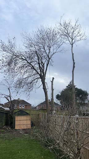 Dawson's Tree and Gardening Services — Customer photo